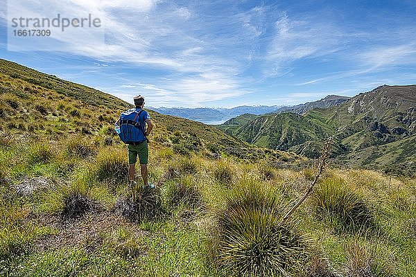 Wanderer auf Wanderweg  Grandview Mountain Track  Blick auf See Lake H?wea  Südalpen  Otago  Südinsel  Neuseeland  Ozeanien