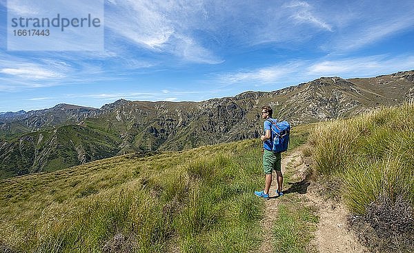 Wanderer auf Wanderweg  Grandview Mountain Track  Lake H?wea  Südalpen  Otago  Südinsel  Neuseeland  Ozeanien
