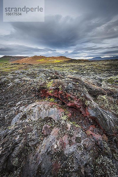 Krafla Lavafeld  Skútustaðir  Norðurland eystra  Island  Europa