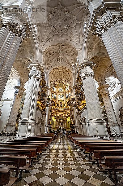 Kathedrale  Innenraum mit weißen Säulen und goldener Altarraum  mit Stuck verzierte Decke  Catedral de Granada  Granada  Andalusien