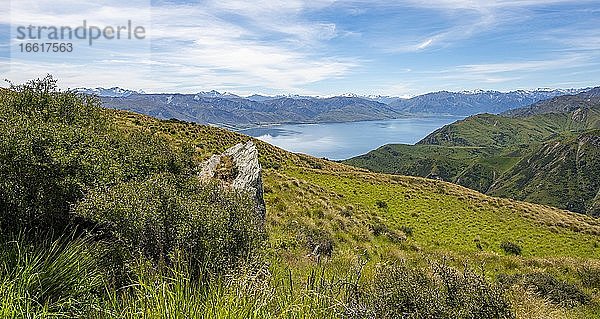 Ausblick vom Grandview Mountain Track auf See  Lake H?wea  Südalpen  Otago  Südinsel  Neuseeland  Ozeanien