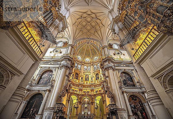 Kathedrale  Altarraum  vergoldet  mit Stuck verzierte Decke  Catedral de Granada  Granada  Andalusien