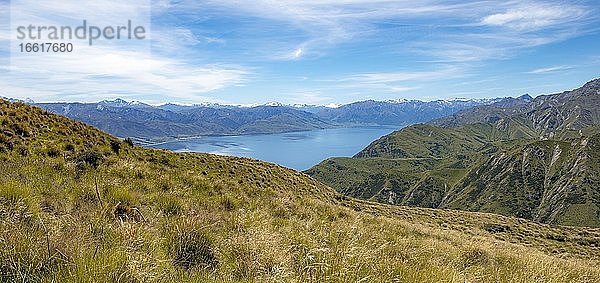 Ausblick vom Grandview Mountain Track auf See  Lake H?wea  Südalpen  Otago  Südinsel  Neuseeland  Ozeanien