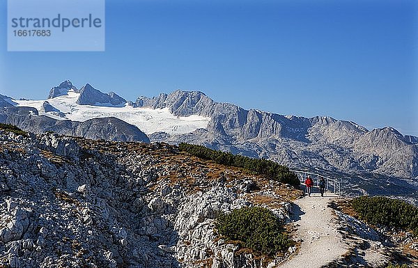 Wanderweg zu den Five Fingers dahinter der Hoher Dachstein  Hallstätter Gletscher  Dachsteinmassiv  Krippenstein  Obertraun  Salzkammergut  Oberösterreich  Österreich  Europa