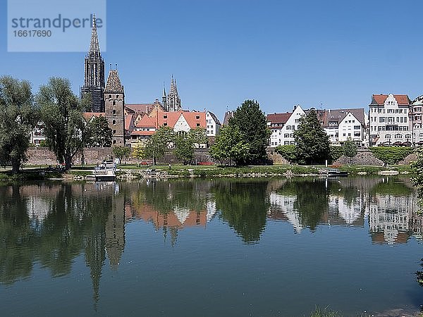 Ulmer Münster und Gebäude am Donauufer mit Wasserspiegelung  Ulm  Baden-Württemberg  Deutschland  Europa