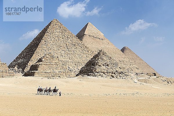 Kamelreiten am Pyramidenkomplex  Gizeh  Ägypten  Afrika