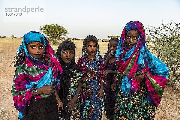 Bunt gekleidete Wodaabe Mädchen beim Gerewol Festival  Niger  Afrika