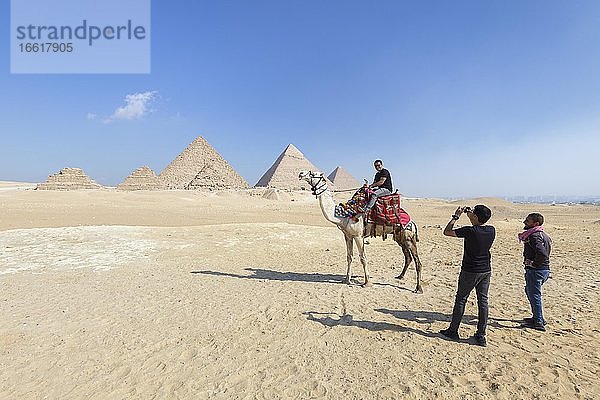 Kamelreiten am Pyramidenkomplex  Gizeh  Ägypten  Afrika