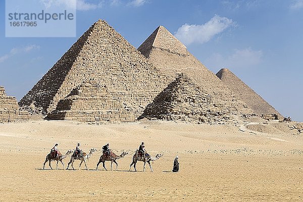 Kamelreiten am Pyramidenkomplex  Gizeh  Ägypten  Afrika