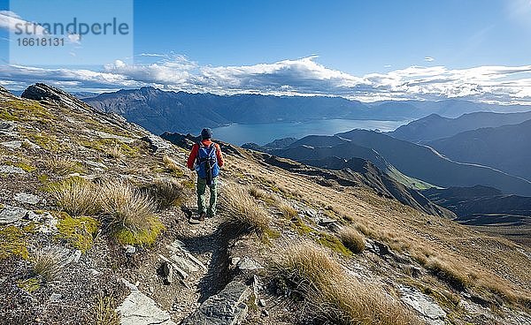 Wanderer auf dem Wanderweg zum Ben Lomond  Ausblick auf Lake Wakatipu  Südalpen  Otago  Südinsel  Neuseeland  Ozeanien