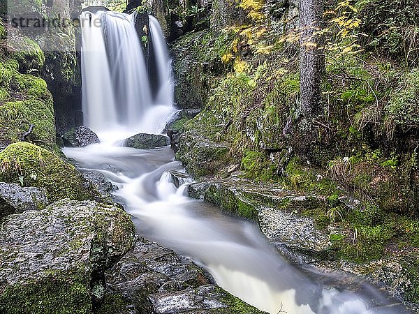 Schwarzwald  Menzenschwander Alb  Wasserfälle im Herbst  Baden Württemberg  Deutschland  Europa