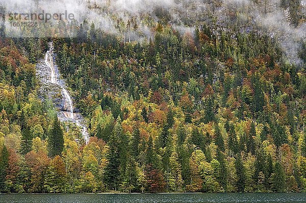 Königsbach-Wasserfall im Herbstl  Königssee  Nationalpark Berchtesgaden  Berchtesgadener Land  Bayern  Deutschland  Europa
