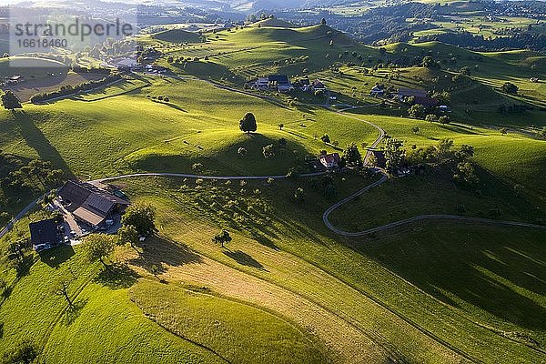 Agrarlandschaft mit Drumlins  vom Gletscher geformte Hügellandschaft  Drohnenaufnahme  Menzingen  Kanton Zug  Schweiz  Europa