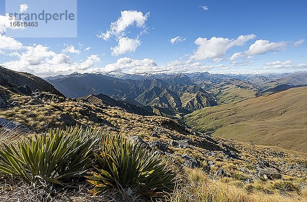 Wanderweg zum Ben Lomond  Ausblick auf Berge  Südalpen  Otago  Südinsel  Neuseeland  Ozeanien