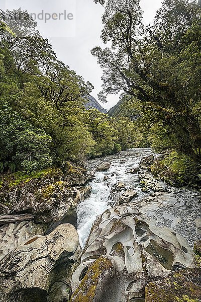 The Chasm  ausgewaschene Felsen  Milford Highway  Fiordland Nationalpark  Southland  Neuseeland  Ozeanien
