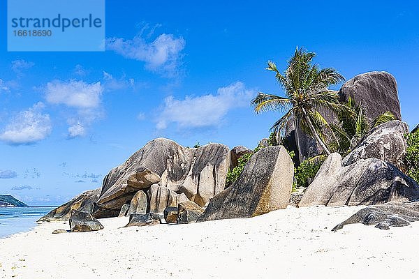 Kokospalmen (Cocos nucifera) und Felsen am Strand Source d'Argent  Insel La Digue  Seychellen  Afrika