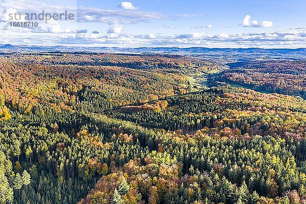 Drohnenaufnahme  Baden-Württemberg  Mischwald  Herbst im Rems-Tal  Deutschland  Europa