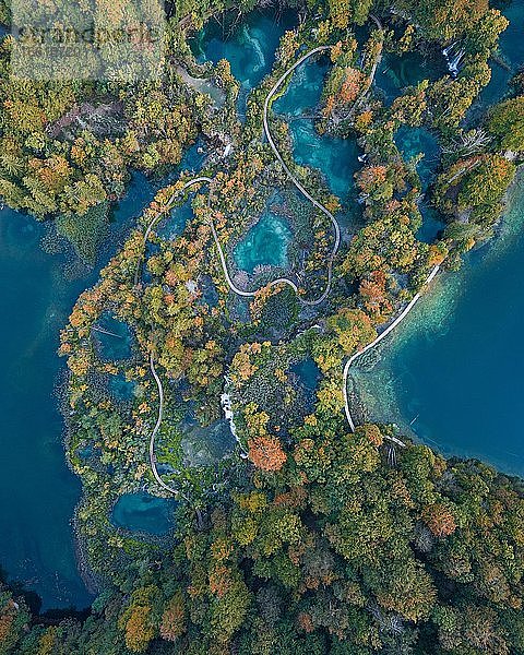 Luftaufnahme  gewundener Weg durch Plitvicer Seen im Herbst  Nationalpark Plitvicer Seen  Dalmatien  Kroatien  Europa