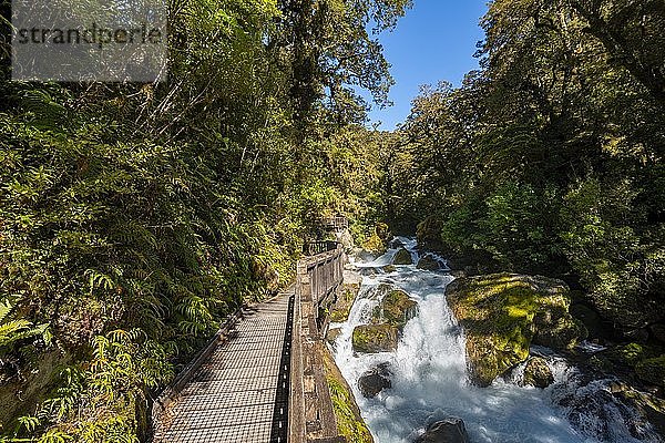 Holzsteg am Fluss  Weg zum Lake Marian  Fiordland Nationalpark  Te Anau  Southland  Südinsel  Neuseeland  Ozeanien