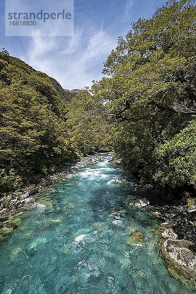 Hollyford Fluss  Whakatipu Ka Tuka  Fiordland Nationalpark  Te Anau  Southland  Südinsel  Neuseeland  Ozeanien
