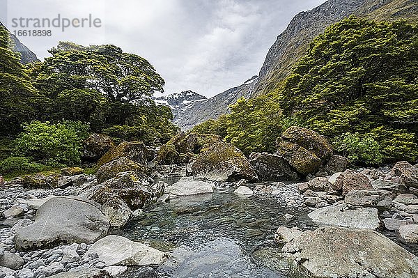 Fluss mit Felsen am Wanderweg  Gertrude Saddle Route  hinten Barrier Peak  Gertrude Valley  Fiordland National Park  Southland  Neuseeland  Ozeanien