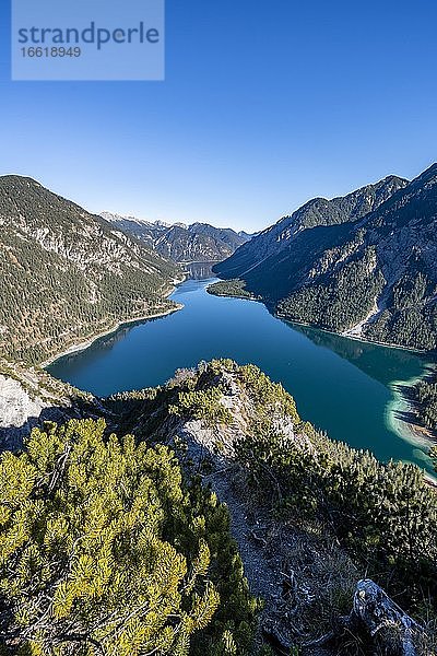 Ausblick auf Plansee  hinten Schönjöchl  Wanderung zur Schrofennas  Ammergauer Alpen  Bezirk Reutte  Tirol  Österreich  Europa