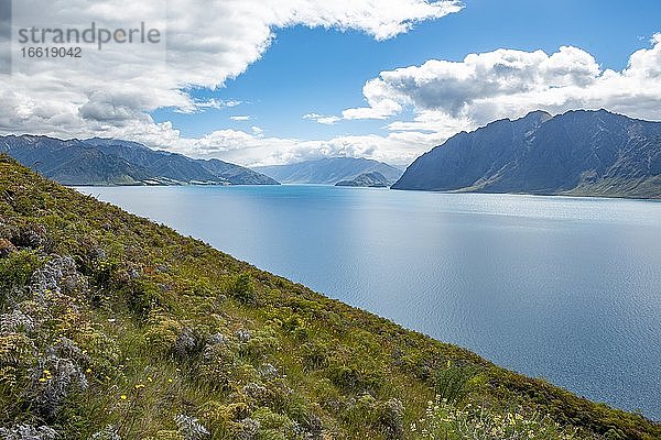 Ausblick auf See und Berge  Lake Wanaka  Südalpen  Otago  Südinsel  Neuseeland  Ozeanien