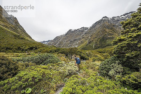 Wanderer auf Wanderweg zum Gertrude Saddle  Fiordland National Park  Southland  Neuseeland  Ozeanien