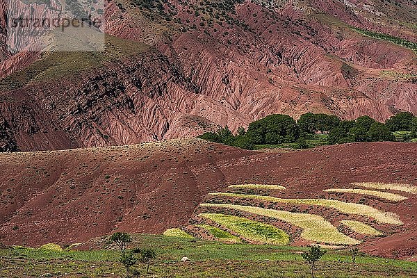 Erosionslandschaft mit kleinen Feldern  Ait Bouguemez  Hoher Atlas  Marokko  Afrika