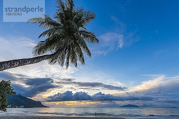 Palme und Meer bei Sonnenuntergang in der Bucht Beau Vallon  Insel Mahe  Seychellen  Afrika