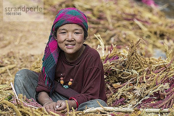 Ein kleines Mädchen sitzt in einem Haufen Perlhirse  Manaslu Region  Himalaya  Nepal  Asien