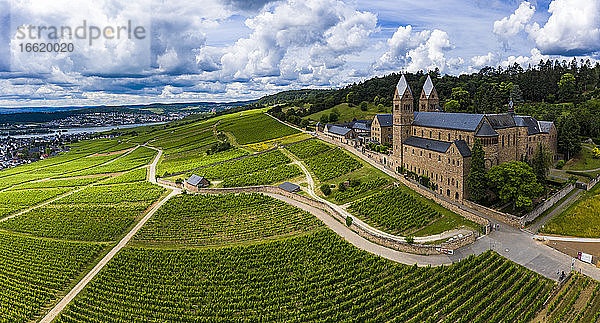 Deutschland  Hessen  Eibingen  Hubschrauberpanorama der Weinberge vor dem Kloster Eibingen im Frühherbst