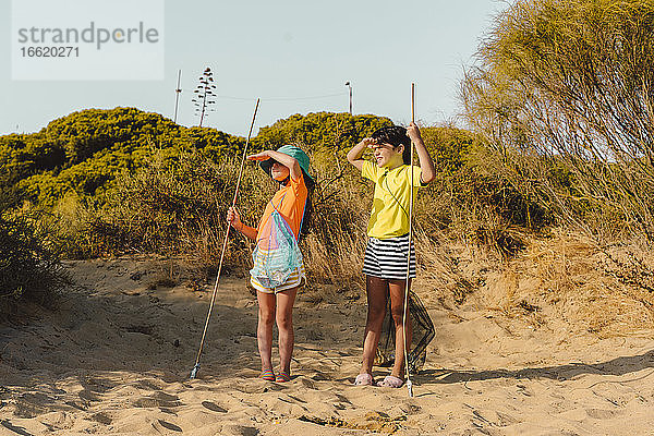 Freunde halten einen Stock  während sie an einem sonnigen Tag am Strand stehen
