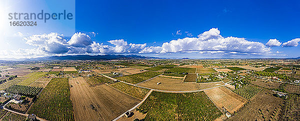 Panoramablick auf Olivenfelder gegen bewölkten Himmel an einem sonnigen Tag  Mallorca  Spanien