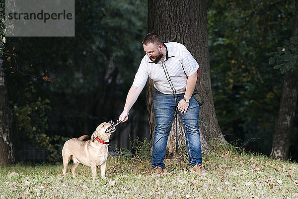 Mittlerer erwachsener Mann spielt mit Hund im Park