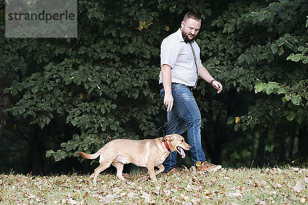 Mann verbringt seine Freizeit bei einem Spaziergang mit seinem Hund im Park