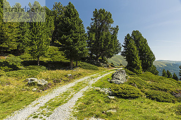 Schotterstraße in den europäischen Alpen im Sommer