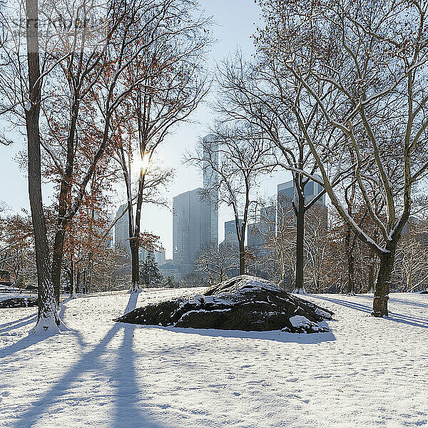 USA  New York  New York City  Kahle Bäume und mit Schnee bedeckte Felsen im Central Park