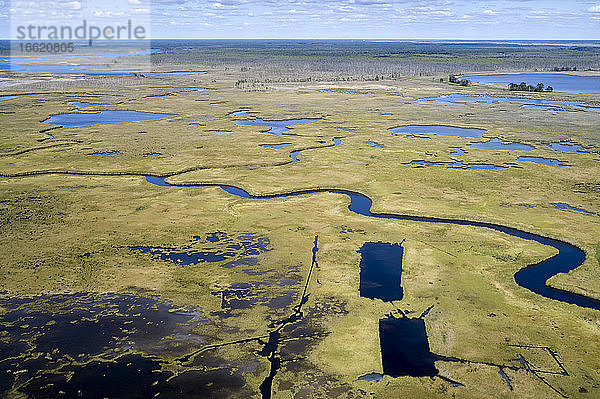 USA  Maryland  Drohnenansicht der Sümpfe entlang des Nanticoke River an der Ostküste