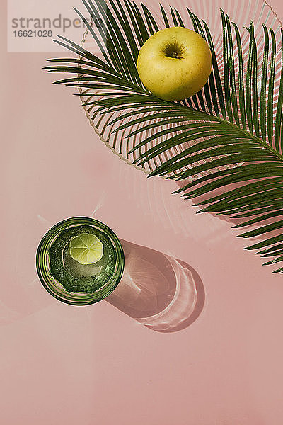 Studioaufnahme von Palmenblättern  Glasschale  Glas mit kohlensäurehaltigem Wasser und einem Apfel