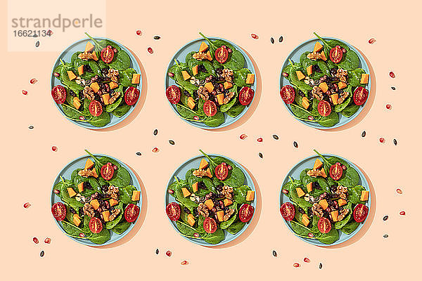 Muster von Tellern mit frischem  verzehrfertigem veganem Salat