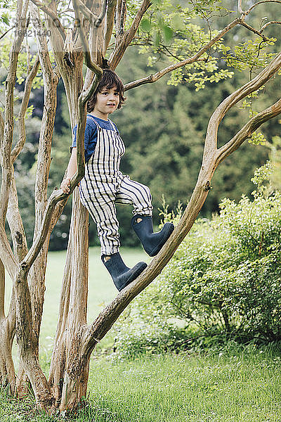 Junge lächelt  während er auf einem Baumzweig im Garten steht