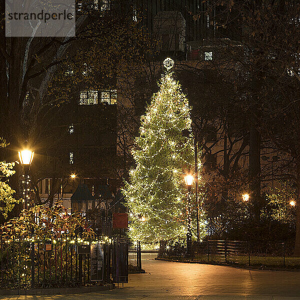 USA  New York  New York City  Weihnachtsbaum bei Nacht im Madison Square Park beleuchtet