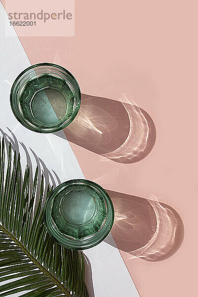 Studioaufnahme von Palmenblättern und zwei Gläsern mit kohlensäurehaltigem Wasser