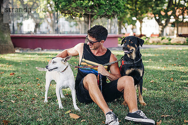 Mann mit Sonnenbrille und Hunden auf einer Wiese im Park sitzend