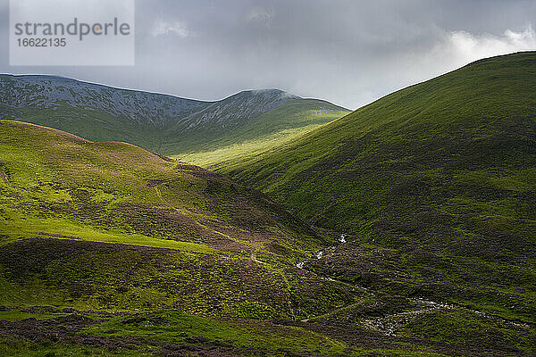 Grüne Hügellandschaft des Cairngorms National Park