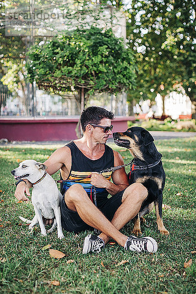 Hübscher Mann mit Hunden auf einer Wiese im Park sitzend