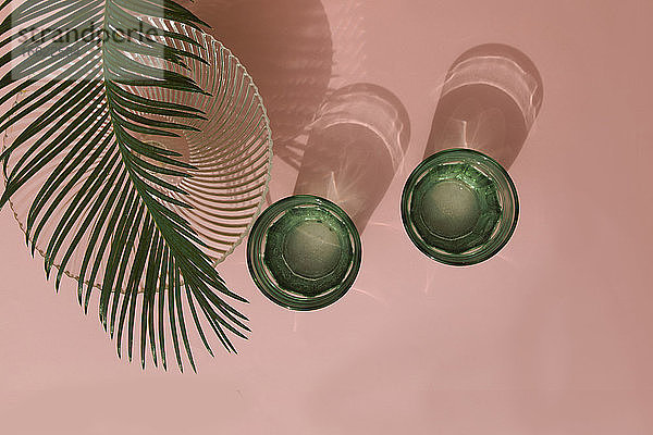 Studioaufnahme von Palmenblättern  Glasschale und zwei Gläsern mit kohlensäurehaltigem Wasser