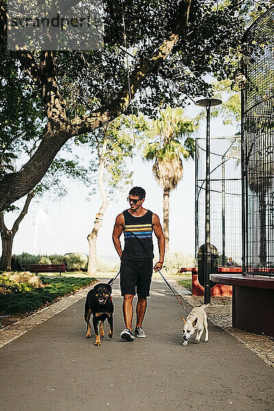 Mann mit Sonnenbrille geht mit Hunden auf der Straße im Park spazieren