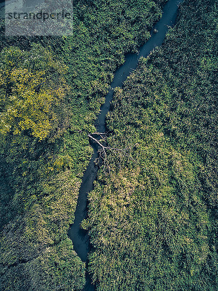 Ein Bach fließt durch eine grüne Landschaft